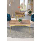 Goldfalez Zigon Sehpa Kr Ve Orta Sehpa Kr Set Gold Ceviz Tel 1108