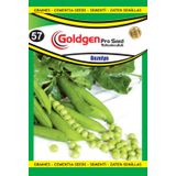Goldgen Pro Seed Bezelye Tohumu