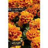 Goldgen Pro Seed Karagöz (Kadife) Çiçeği Tohumu