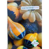 Goldgen Pro Seed Karışık Süs Kabağı Tohumu