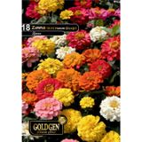 Goldgen Pro Seed Kirli Hanım Çiçeği