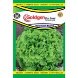 Goldgen Pro Seed Marul Kışlık Kıvırcık Tohumu