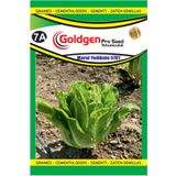 Goldgen Pro Seed Marul Yedi Kule Tohumu