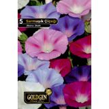 Goldgen Pro Seed Sarmaşık Tohumu