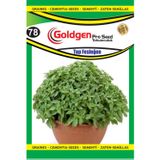 Goldgen Pro Seed Top Fesleğen Tohumu