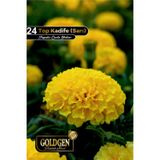 Goldgen Pro Seed Top Kadife Tohumu (Sarı)