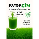 GoldMind EVDE ÇİM 500Gr Buğday, Arpa, Yulaf Çimi Tohumu (3lü karışım) 500g