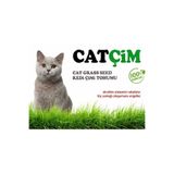 GoldMind KEDİ ÇİMİ KİTİ Arpa Buğday Yulaf. (3lü Karışım) 500g