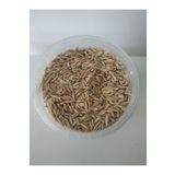 GoldMindMix 2 Kg Kuş Yemi ( Kabuklu Yulaf ) 2 Kg. Papağan Kanarya, Muhabbet Kuşu, Güvercin için.