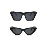Goldmine 2li Set Unisex Güneş Gözlüğü, Cat Eye, Siyah, UV400