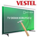 Goldscreen Vestel 55UD8200 55 inç Uyumlu TV Ekran Koruyucu