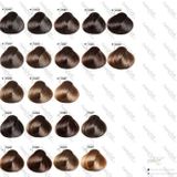 Goldwell Topchic Hair Color saç boyası 60 ml 6NGB-+Dark+Blonde+Refl+Bronze