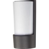 GOLDX ZE955 DIŞ MEKAN APLİK METAL