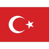 Gönder Bayrak 100 x 150 cm Türk Bayrağı