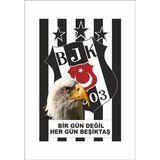 Gönder Bayrak 200 x 300 cm Raşhel Kumaş Beşiktaş Bayrağı