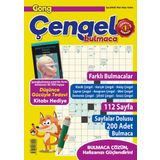 Gong Çengel Bulmaca 002
