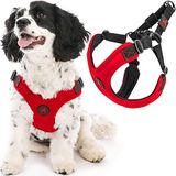 Gooby - Escape Free spor yemek takımı, küçük köpekler için, yemek takımlarından kaçmayı seven köpekler için neopren yemek takımı, kırmızı, beden M