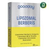 Goodday Lipozomal Berberis 3x30 Tablet