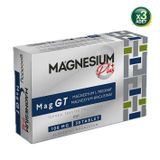 Goodday Magnesium Plus Mag GT 3x30 Tablet