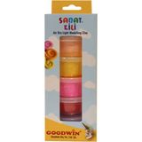 Goodwin Sanat Kili 20 gr x 6 Renk Set - Renkli