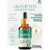 Goomy Okaliptus Yağı %100 Doğal Bitkisel Uçucu Yağ Eucalyptus Oil 10ML - 10 ml