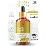 Goomy Ylang Ylang Yağı Distilasyon Doğal Bitkisel Uçucu Yağ Ylang Ylang Oil 100ml - 100 ml
