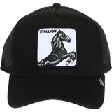 Goorin Bros 101-0393 The Stallion Pamuklu File Detaylı Animal Desenli Şapka Unisex ŞAPKA 1010393 - Renkli - Standart