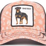 Goorin Bros. Lovesexy Köpek Figürlü Şapka 101-0948