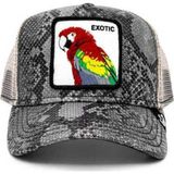 Goorin Bros Margaritaville ( Papağan Figürlü ) Deri Görünümlü Şapka 101-0868