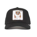 Goorin Bros. The Butch Bulldog Köpek Figürlü Şapka 101-0440