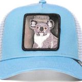 Goorin Bros. The Slumped Koala Koala Figürlü Şapka 101-1674