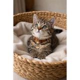 GoPawGo Charmlı Harlowe Kedi Boyun Tasması