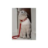 GoPawGo Charmlı Valentine Yumuşak ve Ayarlanabilir Kedi Boyun Tasması ve Gezdirme Kayışı Seti