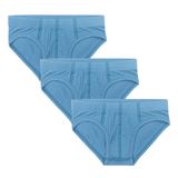 GOTS Sertifikalı Organik Pamuk Erkek Çocuk Slip Külot (3, Denim Mavisi, 152)