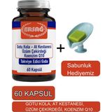 Gotu Kola, At Kestanesi Üzüm Çekirdeği Koenzim Q1-Sabunluk Hediyemiz 2023-1