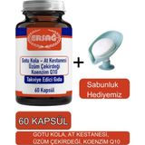 Gotu Kola, At Kestanesi Üzüm Çekirdeği Koenzim Q1-Sabunluk Hediyemiz 2023-2