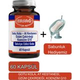 Gotu Kola, At Kestanesi Üzüm Çekirdeği Koenzim Q1-Sabunluk Hediyemiz 2023-3
