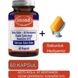 Gotu Kola, At Kestanesi Üzüm Çekirdeği Koenzim Q1-Sabunluk Hediyemiz 2023-5