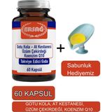 Gotu Kola, At Kestanesi Üzüm Çekirdeği Koenzim Q1-Sabunluk Hediyemiz 2023-6