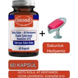 Gotu Kola, At Kestanesi Üzüm Çekirdeği Koenzim Q1-Sabunluk Hediyemiz 2023-7