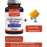Gotu Kola, At Kestanesi Üzüm Çekirdeği Koenzim Q1-Sabunluk Hediyemiz 2023-8