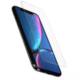 Gpack Samsung Galaxy S24 Plus Ekran Koruyucu Maxi Slim Temperli Cam Siyah