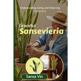 Graceful Sansevieria: Understanding, Caring, and Observing Sansevieria