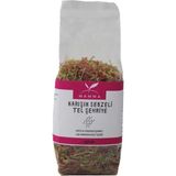 Grains Global Karışık Sebzeli Tel Şehriye