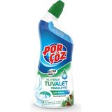 Grains Global Tuvalet Temizleyici Jel Ekstra Güçlü Çam Kokulu 750 ml