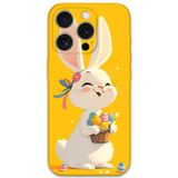 Gramaphone İphone 15 Pro Max Uyumlu Tavşan Desenli Telefon Kılıfı + Ekran Koruyucu - 5807