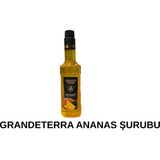 GRANDETERRA Grande Terra Ananas Aromalı Kokteyl ve Kahve Şurubu 750 ml