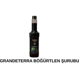 GRANDETERRA Grande Terra Böğürtlen Aromalı Kokteyl ve Kahve Şurubu 750 ml