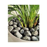 Granit Benekli Dolomit Taş 20 Kg 2-4 Cm Benekli Dolomit Dere Taşı Çakıl Taşı Bahçe Taşı Dekoratif