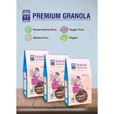 Granola Granolabar Çikolatalı Yaban Mersinli Glutensiz Müsli 600 gr 3 Paket - 900 gr